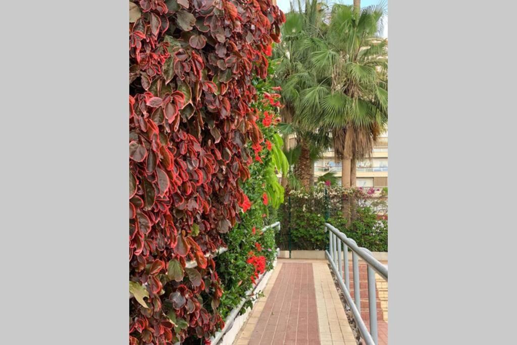 Jardines Del Sur, Ocean View Apartamento Buzanada Exterior foto